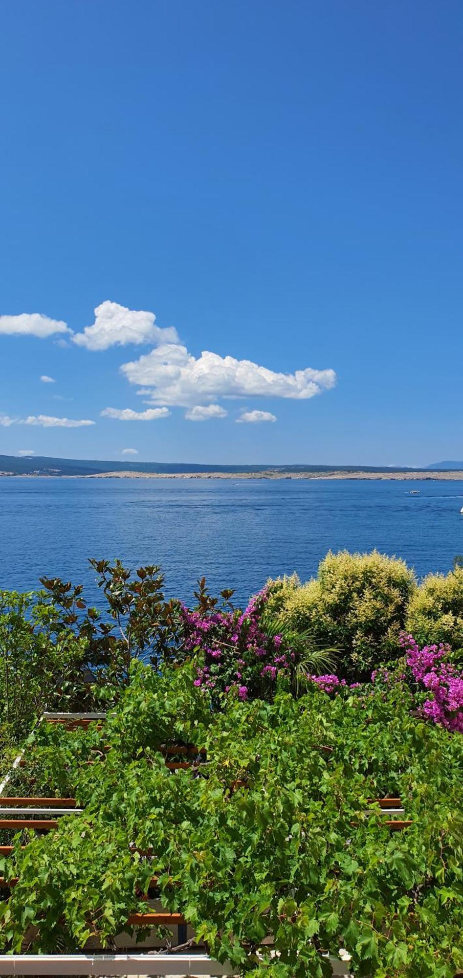 Apartments & Rooms Karla Dramalj Δωμάτιο φωτογραφία