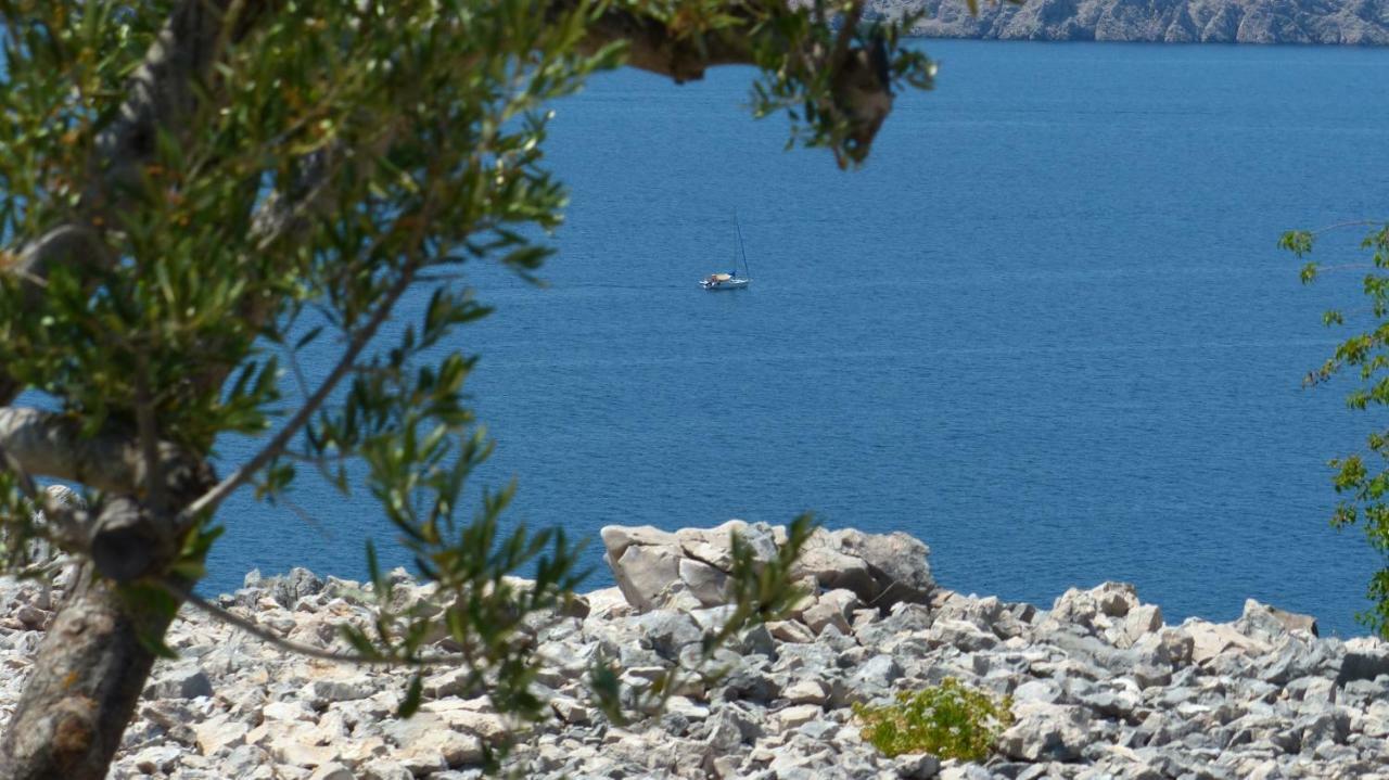 Apartments & Rooms Karla Dramalj Εξωτερικό φωτογραφία